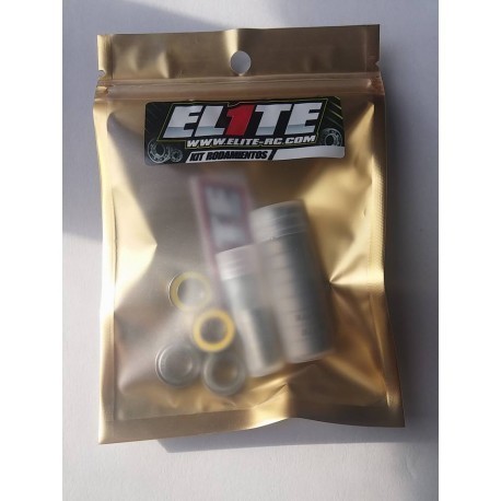 Kit Rodamientos Evolution T4